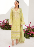 Pakistani Rang Rasiya Unstitched Three Piece - Apache