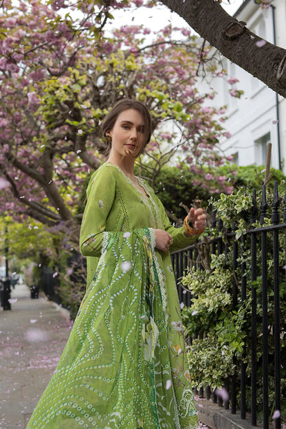 Pakistani Sobia Nazir Unstitched Lawn Three Piece - Pesto