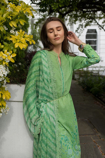 Pakistani Sobia Nazir Unstitched Lawn Three Piece - Asparagus